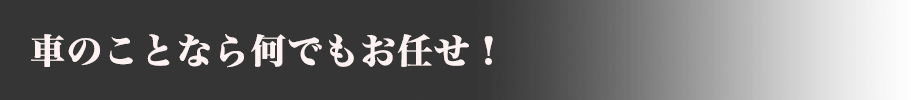 車のことなら何でもお任せ！